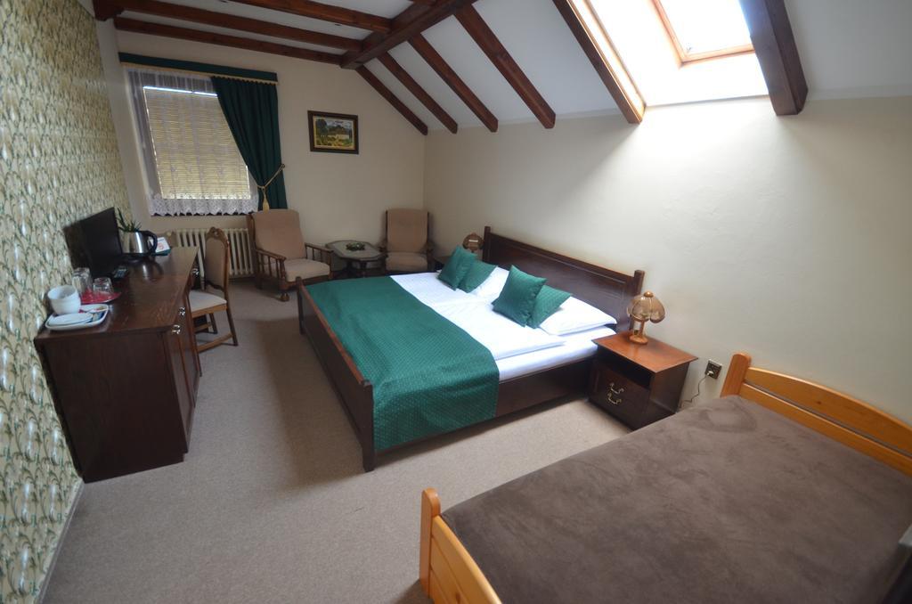 Villa Zerotin Penzion Bed & Breakfast Velké Losiny المظهر الخارجي الصورة