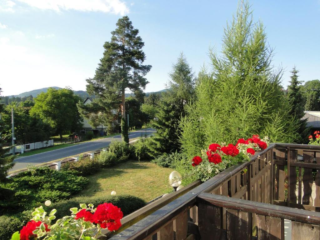 Villa Zerotin Penzion Bed & Breakfast Velké Losiny المظهر الخارجي الصورة