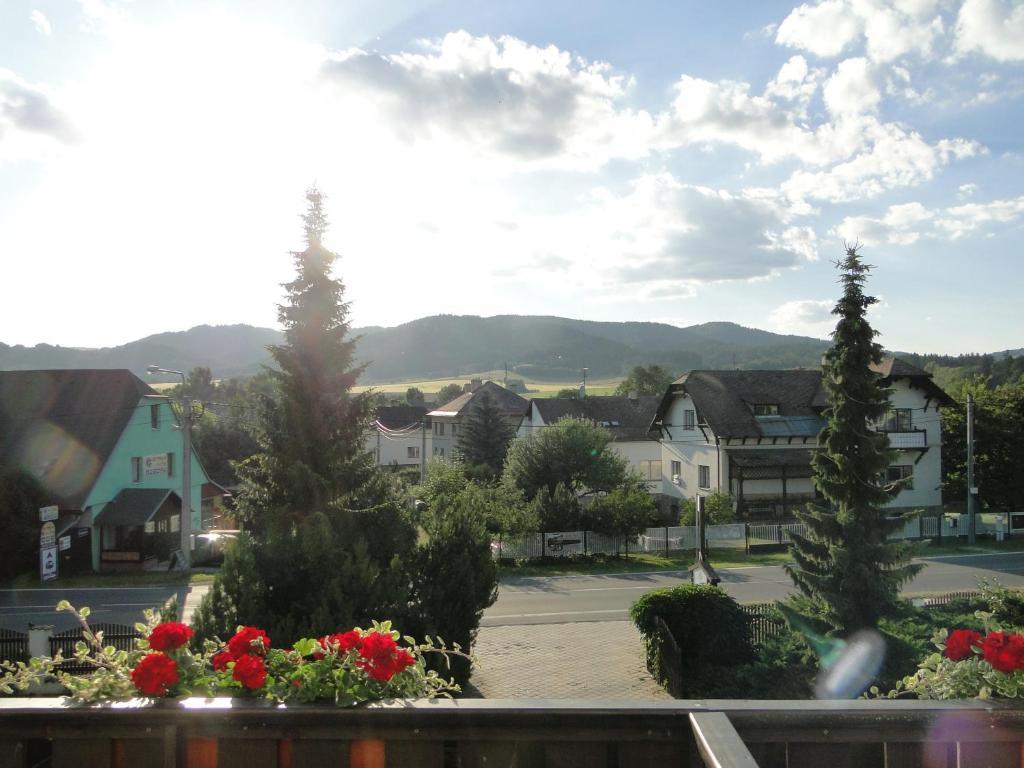 Villa Zerotin Penzion Bed & Breakfast Velké Losiny المظهر الخارجي الصورة